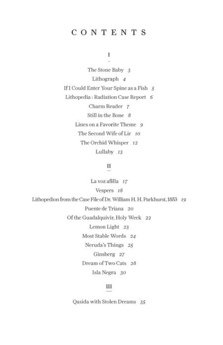 Lithopedia by Anne Keefe - Image 4