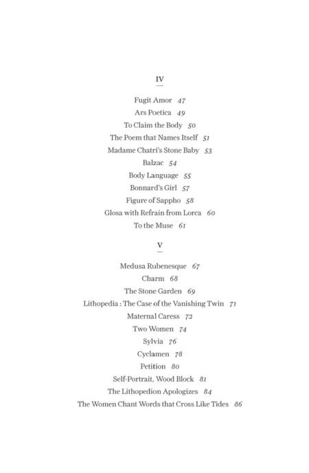 Lithopedia by Anne Keefe - Image 5