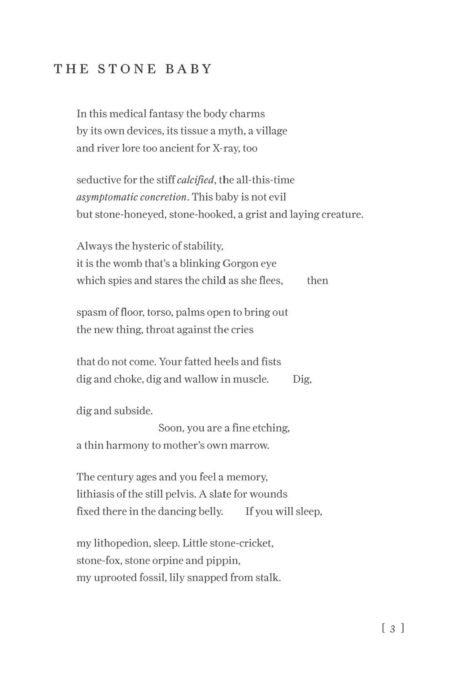 Lithopedia by Anne Keefe - Image 6
