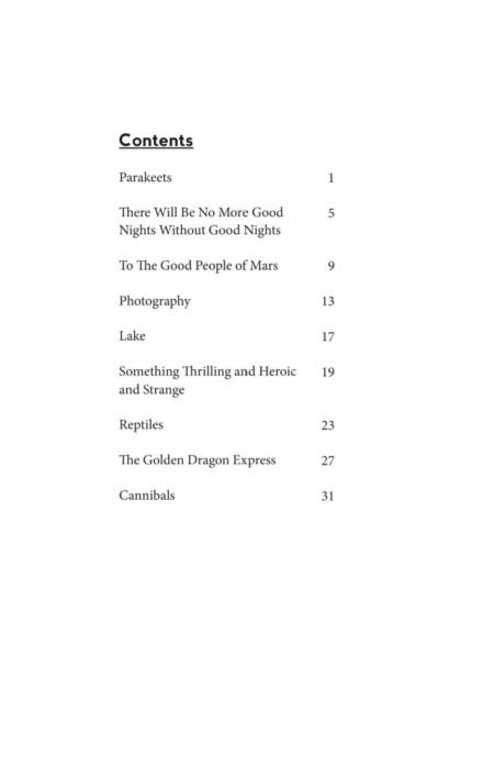 There Will Be No More Good Nights Without Good Nights (eBook) by Laura van den Berg - Image 4
