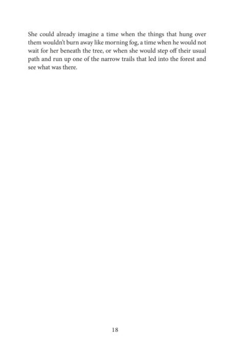 There Will Be No More Good Nights Without Good Nights (eBook) by Laura van den Berg - Image 6