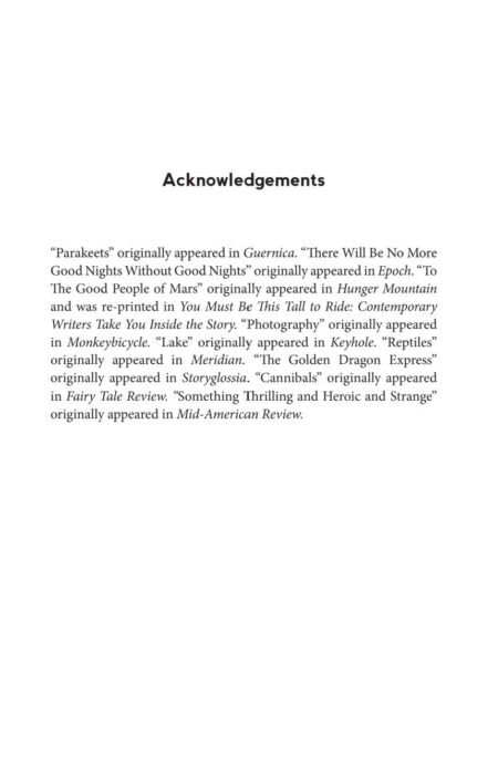 There Will Be No More Good Nights Without Good Nights (eBook) by Laura van den Berg - Image 7