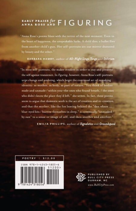 Figuring by Anna V. Q. Ross - Image 2