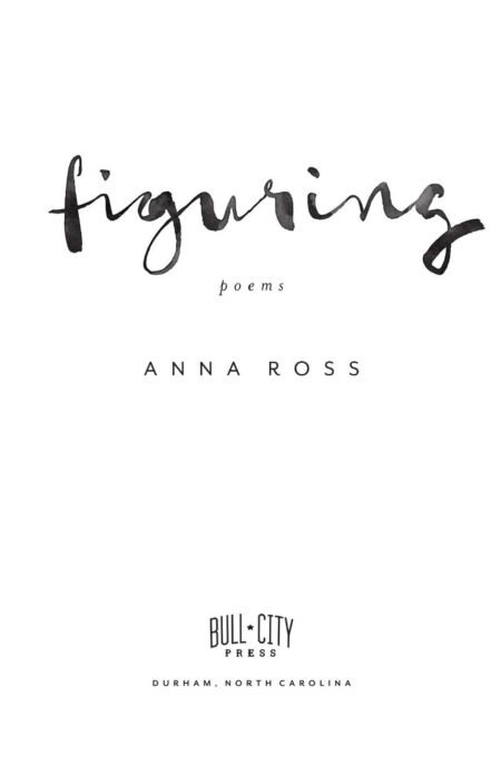 Figuring by Anna V. Q. Ross - Image 3
