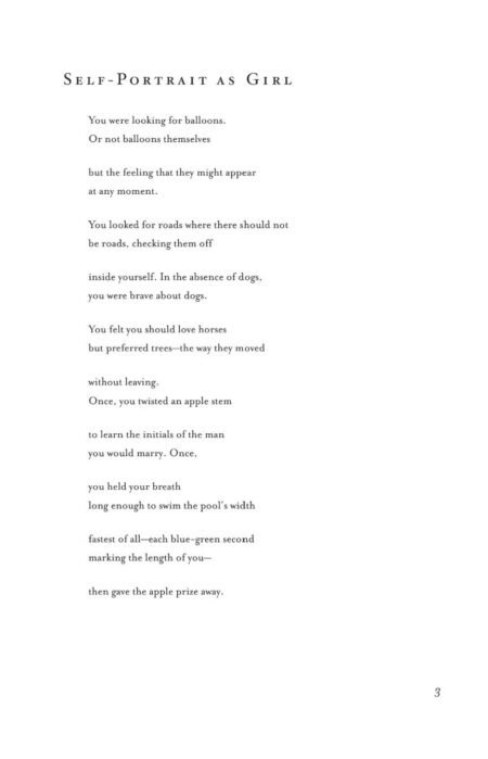Figuring by Anna V. Q. Ross - Image 5