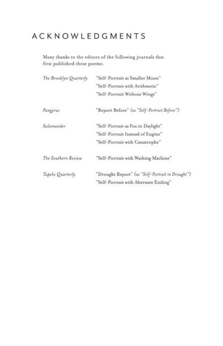 Figuring by Anna V. Q. Ross - Image 6
