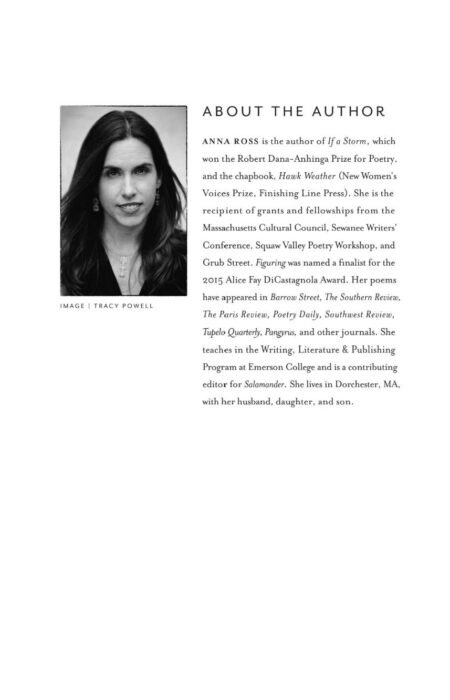 Figuring by Anna V. Q. Ross - Image 7