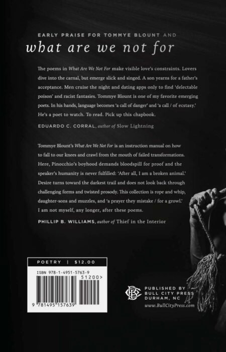 What Are We Not For by Tommye Blount - Image 2