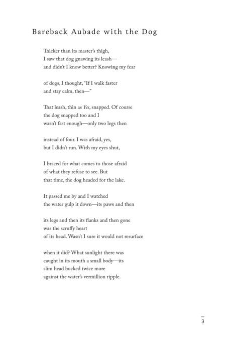 What Are We Not For by Tommye Blount - Image 5
