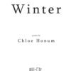 Then Winter (eBook) by Chloe Honum - Image 3