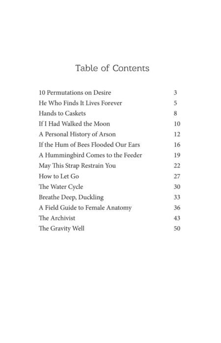 An Elegy for Mathematics (eBook) by Anne Valente - Image 4