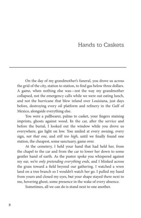 An Elegy for Mathematics (eBook) by Anne Valente - Image 5