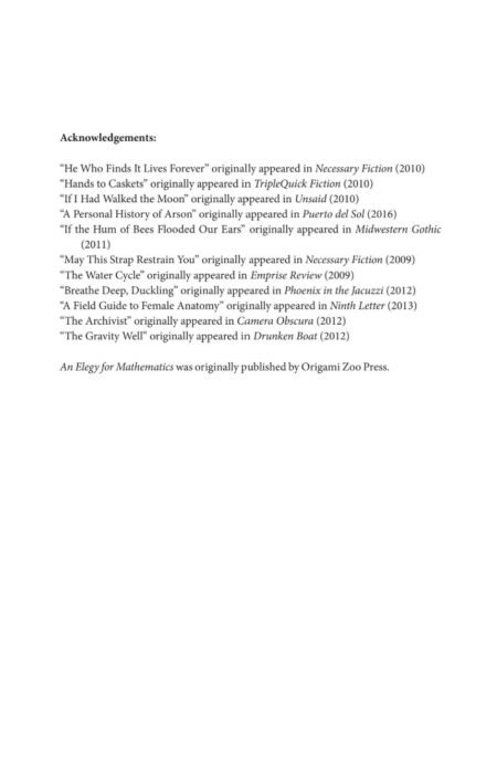 An Elegy for Mathematics (eBook) by Anne Valente - Image 7