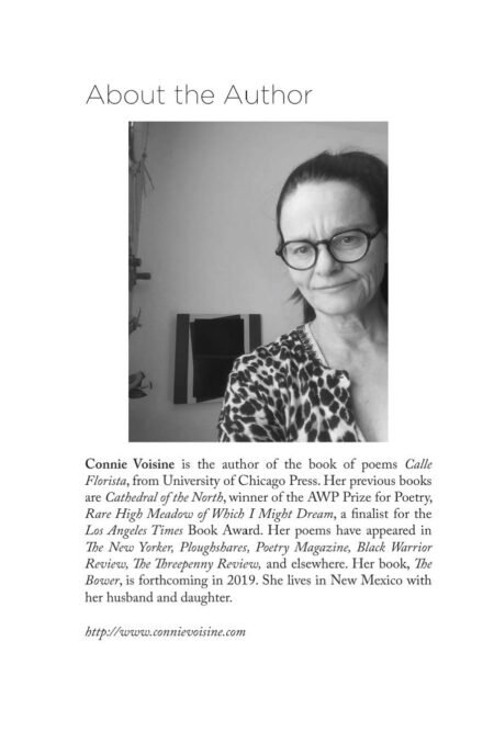And God Created Women by Connie Voisine - Image 7