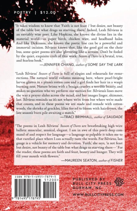 Season of Dares by Leah Silvieus - Image 2