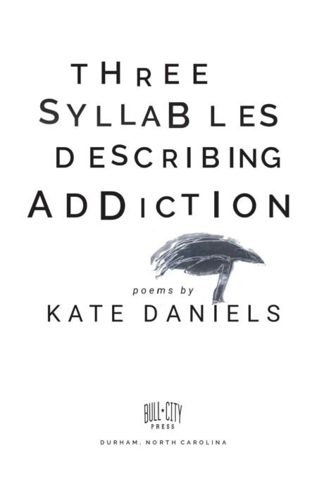 Three Syllables Describing Addiction by Kate Daniels - Image 3