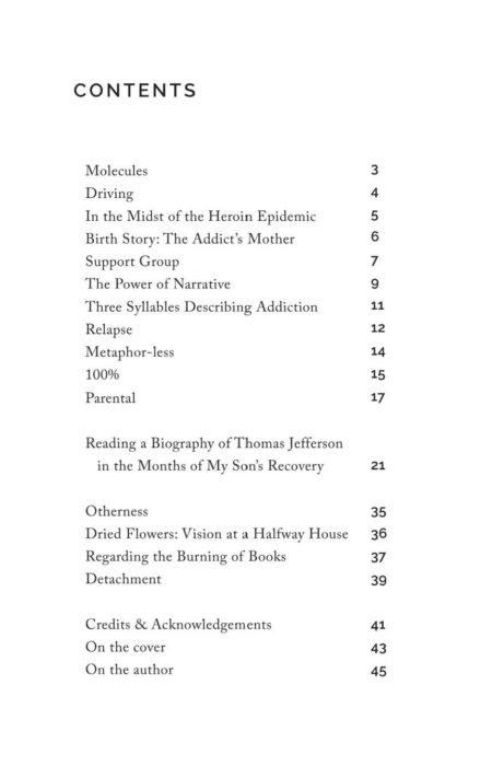 Three Syllables Describing Addiction by Kate Daniels - Image 4