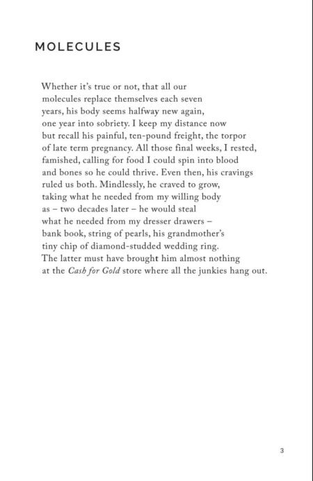 Three Syllables Describing Addiction by Kate Daniels - Image 5