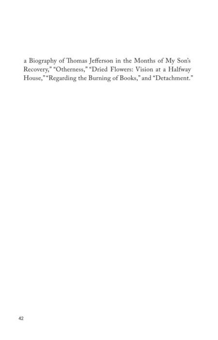 Three Syllables Describing Addiction by Kate Daniels - Image 7