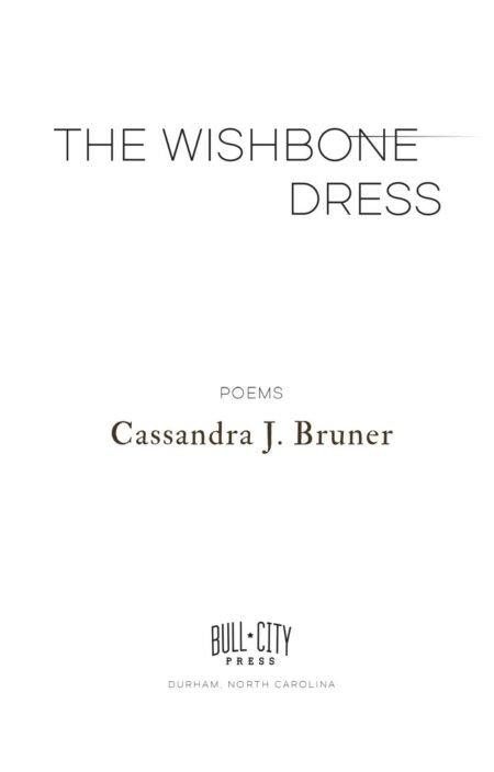 The Wishbone Dress by Cassandra J. Bruner - Image 3