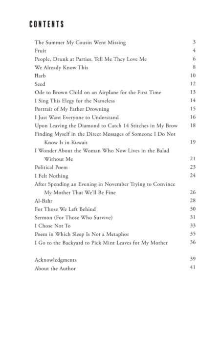 How the Water Holds Me by Tariq Luthun (eBook) - Image 4