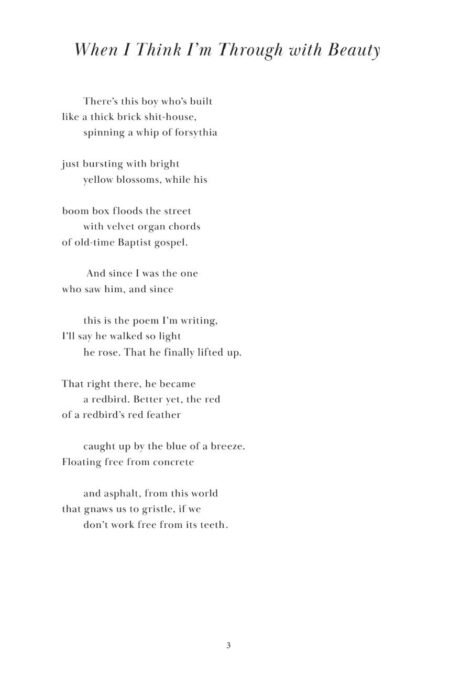 Spinning the Vast Fantastic by Britton Shurley - Image 6