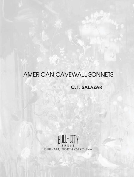 American Cavewall Sonnets by C. T. Salazar - Image 3