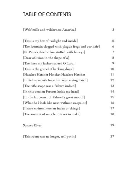 American Cavewall Sonnets by C. T. Salazar - Image 4