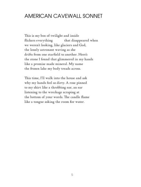 American Cavewall Sonnets by C. T. Salazar - Image 5
