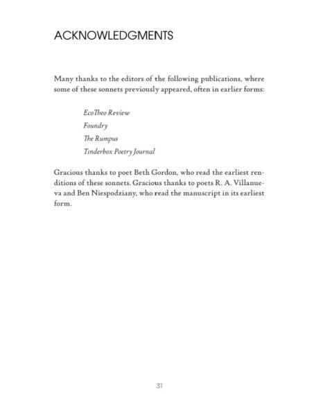 American Cavewall Sonnets by C. T. Salazar - Image 6