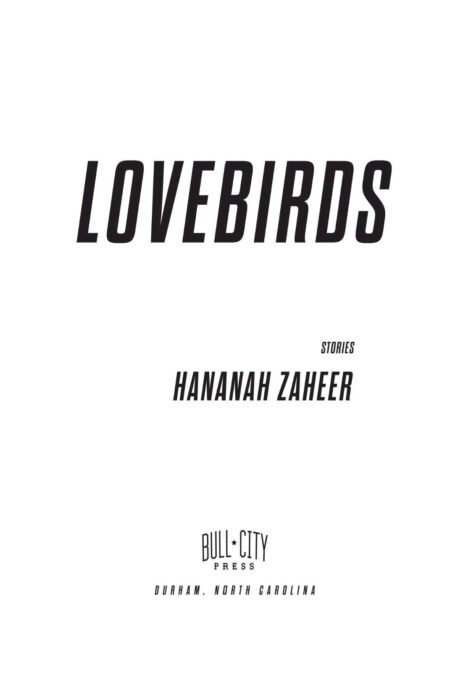 Lovebirds by Hananah Zaheer - Image 3