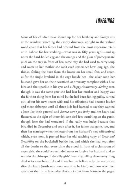 Lovebirds by Hananah Zaheer - Image 5