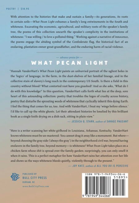 What Pecan Light by Han VanderHart (signed) - Image 2