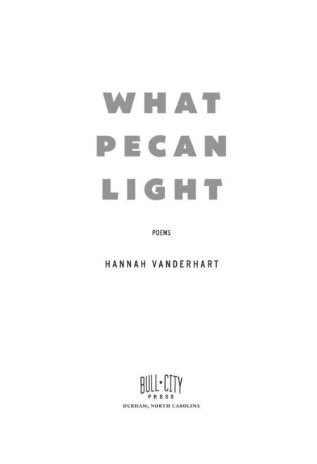 What Pecan Light by Han VanderHart (signed) - Image 3
