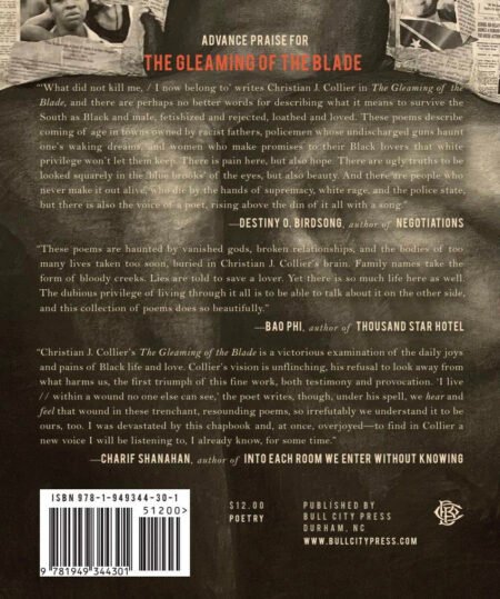 The Gleaming of the Blade by Christian J. Collier - Image 3