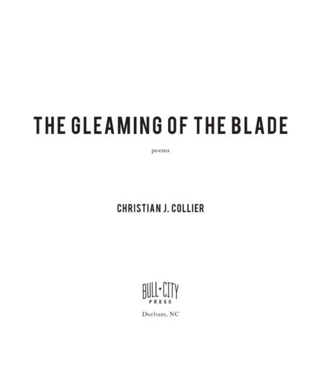 The Gleaming of the Blade by Christian J. Collier - Image 4