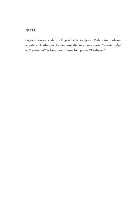 Figment by Leila Chatti (hardcover) - Image 5