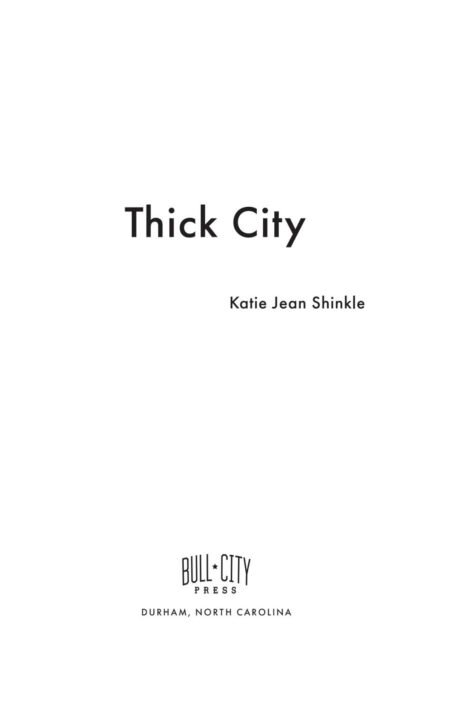 Thick City by Katie Jean Shinkle (eBook) - Image 3