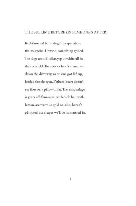 Look Alive by Luiza Flynn-Goodlett - Image 6