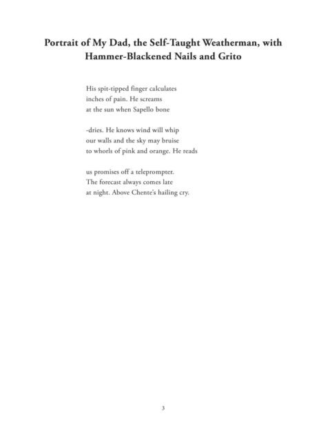 Sapello Son by Alejandro Lucero - Image 5