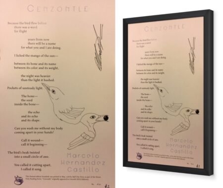 Marcelo Hernandez Castillo - "Cenzontle"