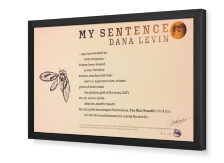 Dana Levin - "My Sentence" - Image 2