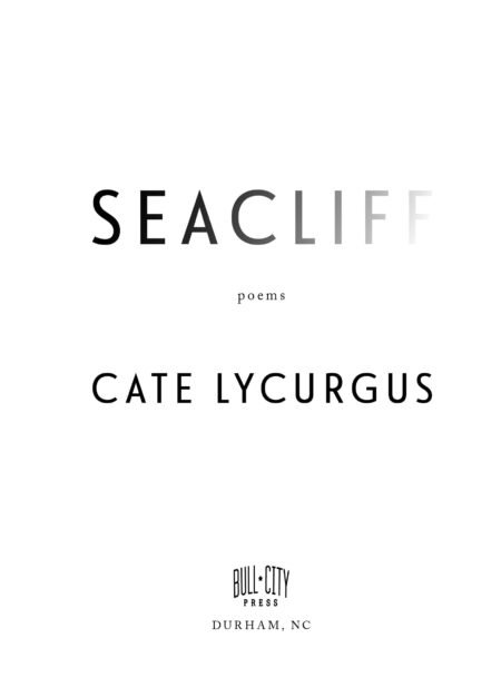 Seacliff by Cate Lycurgus - Image 3