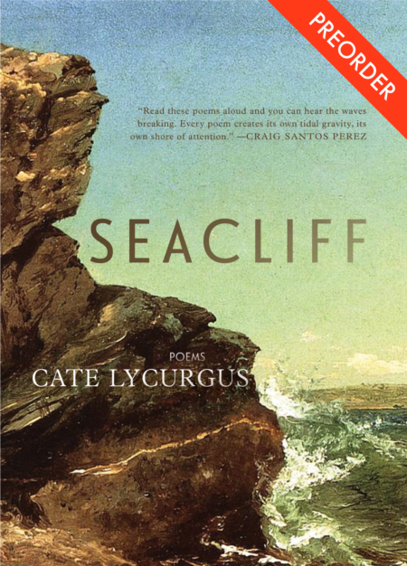 Seacliff by Cate Lycurgus